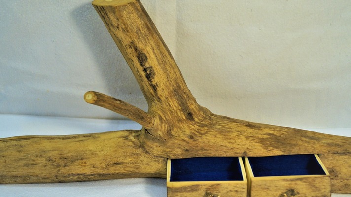 Schmuckschatulle aus einem Holunderstamm. von Holzsiggi
