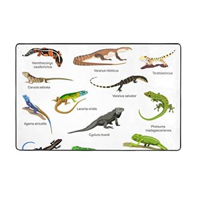 AAPIKA Verschiedene Arten von Eidechsen-Teppich, bedruckt, 150 x 100 cm, Flanell, rutschfest, weich, langlebig und vielseitig von AAPIKA
