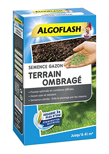 Algoflash Samenkorn. terrainombra. 900g Saatgut Rasen vor Ort schattigen 900 g, blau, 18.399999999999999 x 6.4 x 32 cm von BARRIERE A INSECTES