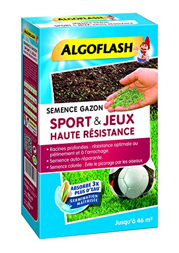 ALGOFLASH semhr1 Saatgut Rasen Sports und Spiele Hohe, blau, 1 kg von BARRIERE A INSECTES