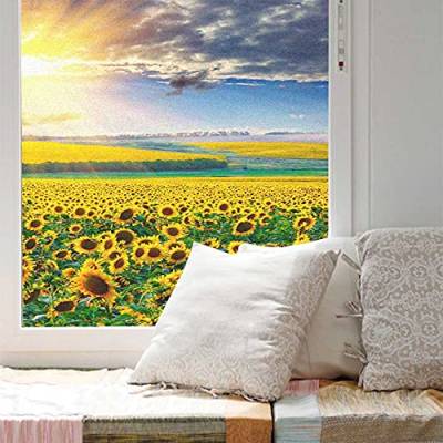 Fensterfolie Sichtschutz Sonnenblumen Sunraise Dekorative Folie Statische Klebefensterverkleidungen Wärmeschutzglasaufkleber für Badezimmer / Schlafzimmer Pattern B W17.7 x H37.4(45x95cm) von Acmore