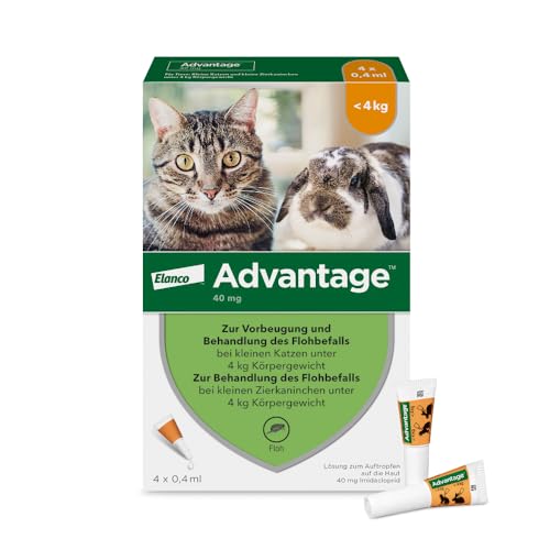 Elanco Advantage Spot-On 40 für kleine Katzen und Zierkaninchen bis 4 kg, wirksamer Schutz vor Flöhen und Flohbefall bis 4 Wochen, einfache Spot-on-Anwendung, 4 Pipetten mit 0,4 ml Lösung von Advantage