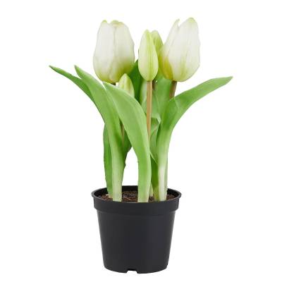 Tulpen Real Touch Topf FLORISTA von BUTLERS