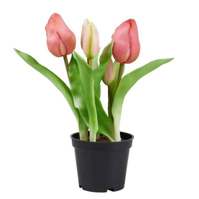 Tulpen Real Touch Topf FLORISTA von BUTLERS