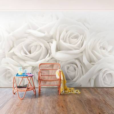 Vliestapete Weiße Rosen von Bilderwelten