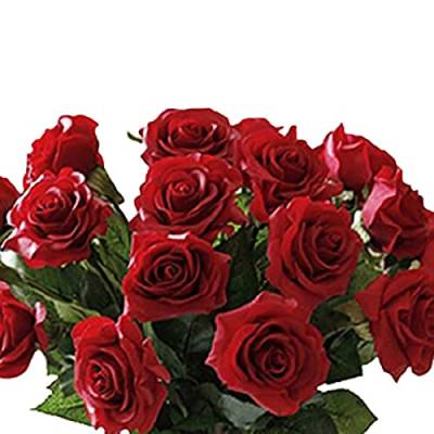 Brussels08 Künstliche Latex-Rosen, künstliche Blumen mit Stielen, Hochzeit, Party, Tisch, Blumenstrauß, Rot, 10 Stück von Brussels08