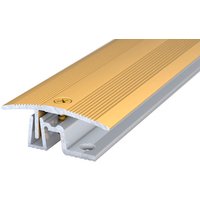 CARL PRINZ Übergangsprofil »PS 400«, BxH: 38 x 15 mm, versenkt gelocht - goldfarben von CARL PRINZ