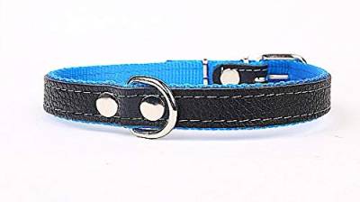 Hundehalsband weich unterlegt und starkes Halsband aus Echtleder Blau Breite 12mm Länge 32cm von Capadi
