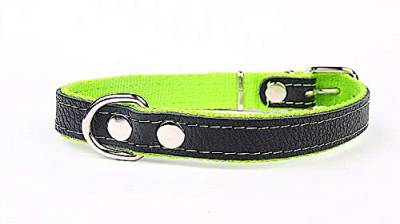 Hundehalsband weich unterlegt und starkes Halsband aus Echtleder Grün Breite 40mm Länge 55cm von Capadi