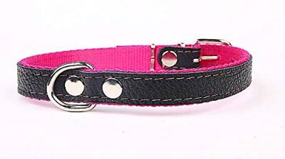 Hundehalsband weich unterlegt und starkes Halsband aus Echtleder Pink Breite 40mm Länge 65cm von Capadi