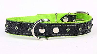 Capadi K0115 Hundehalsband verziert mit farbigen Chrystalsteinen weich unterlegt und Starkes Halsband aus Echtleder, Grün, Breite 25 mm, Länge 55 cm von Capadi