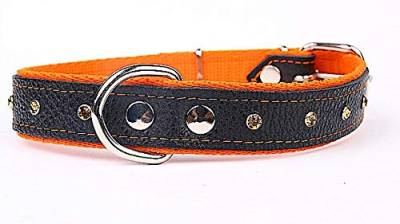 Capadi K0126 Hundehalsband verziert mit farbigen Chrystalsteinen weich unterlegt und Starkes Halsband aus Echtleder, Orange, Breite 30 mm, Länge 60 cm von Capadi
