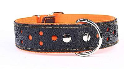 Capadi K0426 Hundehalsband breit reflektierend aus echtem strapazierfähiges Leder weich unterlegt, Orange, Breite 40 mm, Länge 55 cm von Capadi