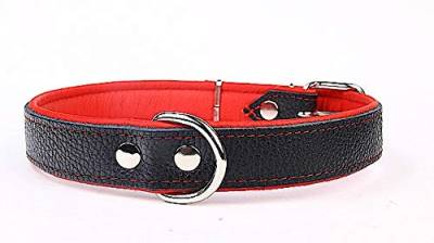 Capadi K0712 Hundehalsband mit Napaleder unterlegt und Starkes Hundehalsband aus Echtleder, Rot, Breite 30 mm, Länge 52 cm von Capadi
