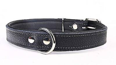 Capadi K0721 Hundehalsband mit Napaleder unterlegt und Starkes Hundehalsband aus Echtleder, Schwarz, Breite 30 mm, Länge 56 cm von Capadi