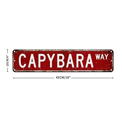 Capybara Vintage Wanddekoration Metallschild Capybara Liebhaber Geschenk Metallschild Eisen Malerei Metall Straßenschild Aluminium Blechschilder für Männer Frauen Wandkunst Dekor für Waschküche von CowkissSign