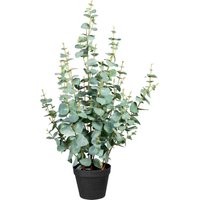 Creativ green Künstliche Zimmerpflanze "Eukalypthus" von Creativ Green
