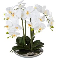 Creativ green Kunstorchidee "Deko-Orchidee Phalaenopsis in Keramikschale" von Creativ Green
