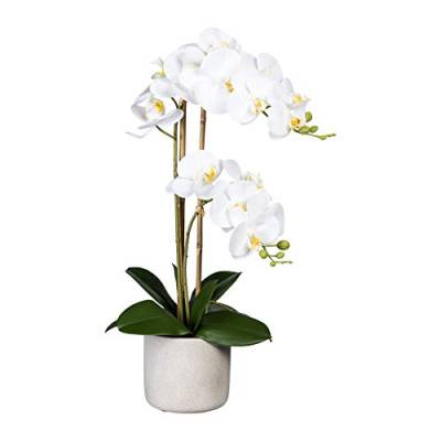 Creativ green Kunstblume Orchidee Phalaenopsis ca. 60 cm, im Zementtopf (weiß) von Creativ green