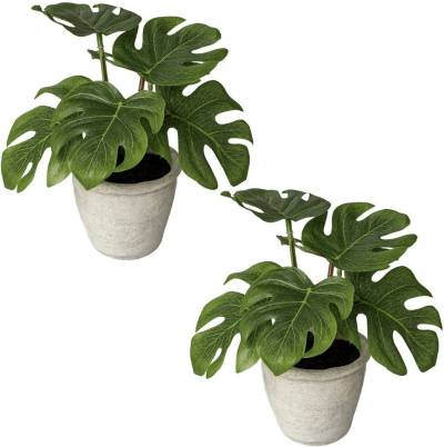 Künstliche Zimmerpflanze Blattpflanze Splitphilodendron, Creativ green, Höhe 20 cm, im Paperpot von Creativ green
