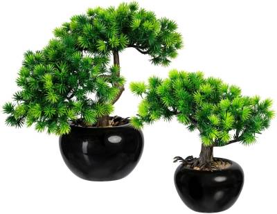 Kunstbonsai Bonsai Lärche Bonsai Lärche, Creativ green, Höhe 25 cm, im Keramiktopf, 2er Set von Creativ green