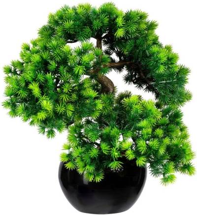 Kunstbonsai Bonsai Lärche Bonsai Lärche, Creativ green, Höhe 37 cm, im Keramiktopf von Creativ green