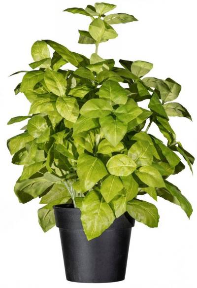 Kunstpflanze Basilikumbusch Basilikum, Creativ green, Höhe 30 cm von Creativ green