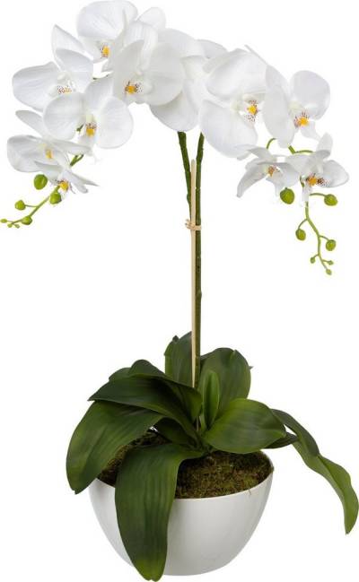 Kunstpflanze Orchidee, Creativ green, Höhe 65 cm von Creativ green