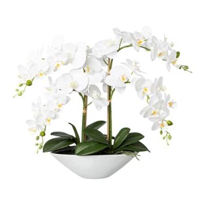 Kunstpflanze Orchidee Phalenopsis, weiß in Keramikschale, 53 cm von Creativ green