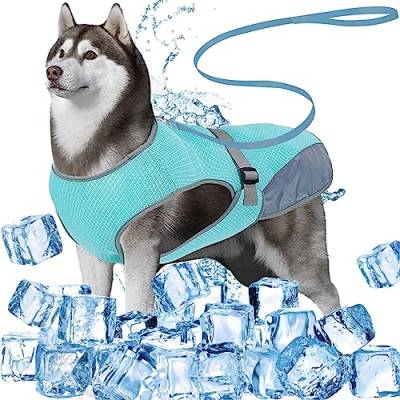 DKDDSSS Hundekühlweste, Atmungsaktiv Sommer Cooler Hundejacke, Hund Kühlweste, Cooler Komfortabler Hundemantel, für Kleine Bis Mittelgroße Hunde Aktivitäten Draußen Training (Blue, L) von DKDDSSS