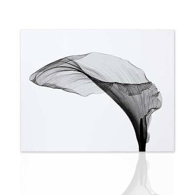Declea Bild Noir et Blanc Moderner Druck in Schwarz und Weiß – Dekor für Wohnzimmer Druck auf Leinwand 100% Baumwolle von Declea