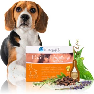 DERMOSCENT Essential 6 PERRO Spot ON 10-20KG 1,2ML 4PIP(NDR) von Dermoscent