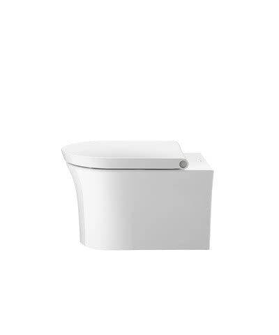 White Tulip Wand WC mit HygieneGlaze, rimless, Abgang waagerecht, 540 mm, 257609 von Duravit