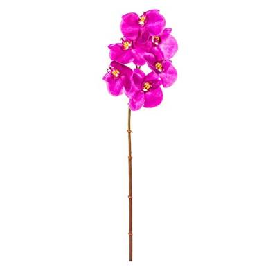 EUROCINSA Ref.43434C63 Orchidee PHALAENOPSIS, Schachtel mit 12 Stück, Lavendel, 56 cm von EUROCINSA