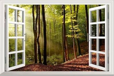 Fenster Sonnige Waldlandschaft 350x250cm Fototapete 3D Effek Tapete Wand Vliestapete Tapeten Schlafzimmer Wohnzimmer Kinderzimmer Wanddeko Wandbilder von FEICHANGWM
