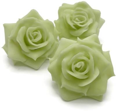 Fangblatt - Wachsrose Mint Grün - künstliche Rose aus Wachs - für Gestecke, Tischdekoration, Grabschmuck - Durchmesser ca. 10 cm (5) von Fangblatt
