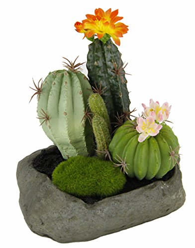 Flair Flower Künstliche Kakteen im Stein, 19 x 15 x 14 cm von Flair Flower