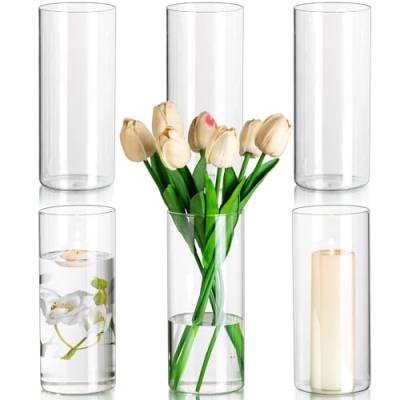 Glasseam Zylinder Vasen Deko Modern Blumenvasen, 6 Stück Glas Vasen Set, 20 x 8,5 cm Tulpenvase Glas Zylinder Kerzenständer für Stumpenkerzen, Minimalistische Flower Vase für Tischdeko Esstisch von Glasseam