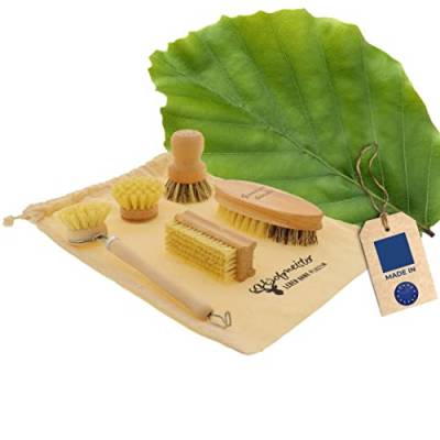 HOFMEISTER® Bürsten-Set Holz 5-teilig - Gemüsebürste, Topfbürste, Spülbürste, Ersatzkopf, Nagelbürste, Fibre & Union Naturborsten, robust & hygienisch, Reinigung bei hartnäckigem Schmutz, Buche von Hofmeister Holzwaren