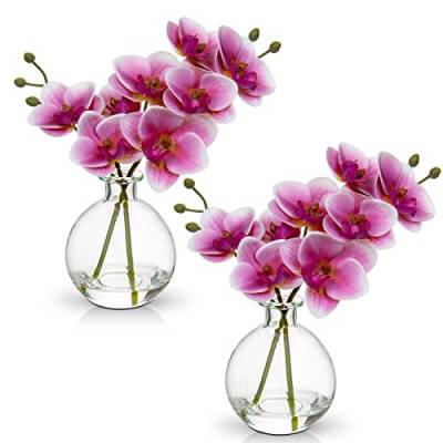 2 pcs Künstliche Orchideen rosa mit Glasvase, Kunstpflanze Decor Orchideen Kunstblumen im vase mit Real Touch Blüten, Gefälschte Orchideen künstliche Bonsai für Hotel Wohnzimmer Büro Küche von Hollyone