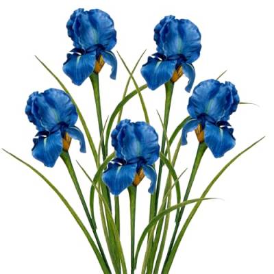 5 Stück künstliche Iris Blumen, 60cm Langer Stiel falsche Irisblumen Blau, künstliche Irisdekoration für Haus, Büro, Hochzeit, Partydekoration, Blumenarrangement, Tischaufsteller von Hollyone