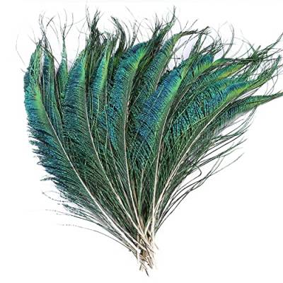 Katutude 100 Stück Basteln Deko Pfauen Federn, 30-35CM Deko Bastelfeder, Natur Pfauenfeder Schwanzfedern für Handarbeiten Verzierungen, Crafts Feather, Zuhause Dekor von Katutude