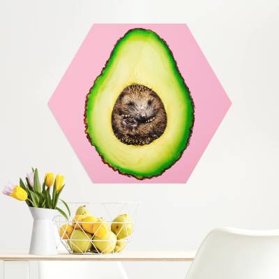 Hexagon-Alu-Dibond Bild Avocado mit Igel von Klebefieber