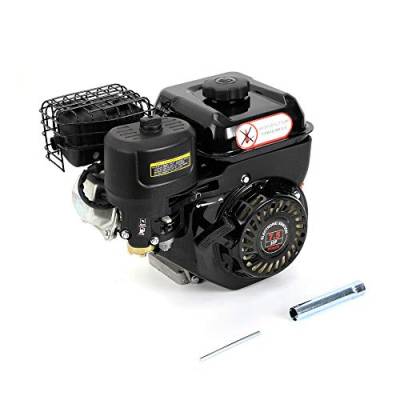 LENJKYYO 7.5PS 4-Takt Benzinmotor Kartmotor Standmotor Schräg Einzylinder Ölalarm DHL OHV Einzylinder W/Ölalarm (Schwarz mit Netz) von LENJKYYO