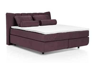 Mivano Free Boxspringbett/Bett mit 7-Zonen-Taschenfederkern-Matratze und Basic Topper/Härtegrad H4, Velours Cosy Lila, Liegefläche 180 x 200 cm von Mivano