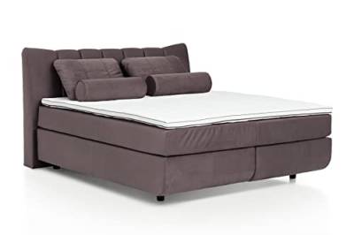 Mivano Free Boxspringbett/Bett mit 7-Zonen-Taschenfederkern-Matratze und Basic Topper/Härtegrad H2 + H3, Velours Cosy Braun, Liegefläche 180 x 200 cm von Mivano