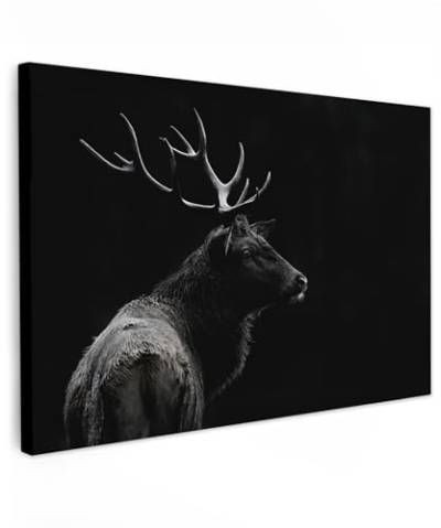 MuchoWow© Bild auf Leinwand 90x60 cm Schlafzimmer Bilder Wand Deko Wohnzimmer Modern Wanddeko Bilderwand Geschenk Hirsch - Rotwild - Reh - Schwarz - Porträt - Geweih - Tiere von MuchoWow