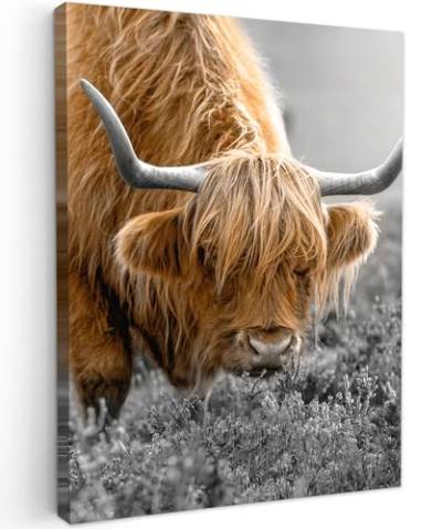 MuchoWow© Leinwand Bilder 30x40 cm Wanddeko Wohnzimmer Aesthetic Room Decor Deko Zimmer Wandbilder Modern Fotogeschenke Schottisches Hochlandrind - Highland Cow - Kuh Bild - Schwarz und Weiß von MuchoWow