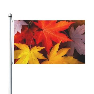 Flagge, 90 x 152 cm, doppelseitig, Herbstblätter, Ahorn-Druck, Gartenflagge, personalisierte Outdoor-Flagge, lustige Flagge für Land, Terrasse, Rasen, Außendekoration, Bauernhaus von NKQSOAUH
