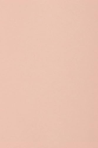 Netuno 10 x Tonkarton DIN A3 297x 420 mm Hellrosa 250g Burano Rosa Bastelkarton einfarbig Fotokarton A3 bunt durchgefärbt Feinpapier DIY Bogen Kreativ-Karton farbig buntes Tonpapier von Netuno